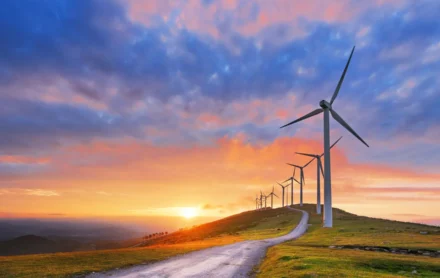 Here comes the sun: Wind, solar power account for record 13% of U.S. energy in 2021