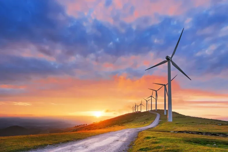 Here comes the sun: Wind, solar power account for record 13% of U.S. energy in 2021